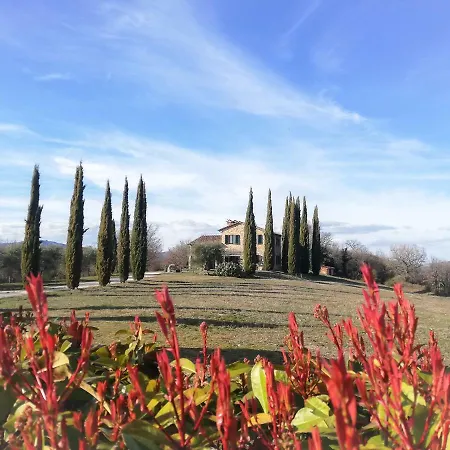 Lavanda * San Venanzo