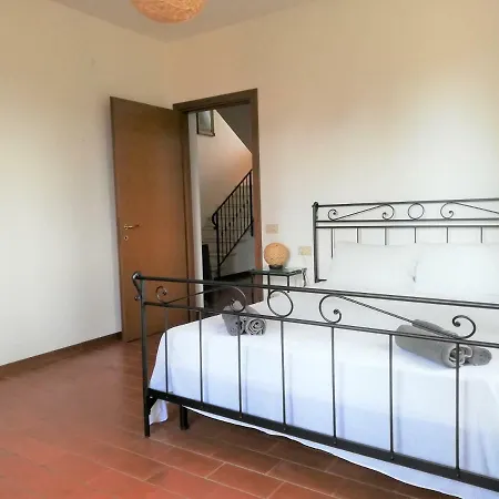 Lavanda * San Venanzo