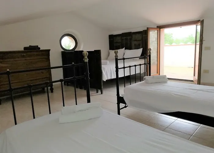 Lavanda Villa San Venanzo