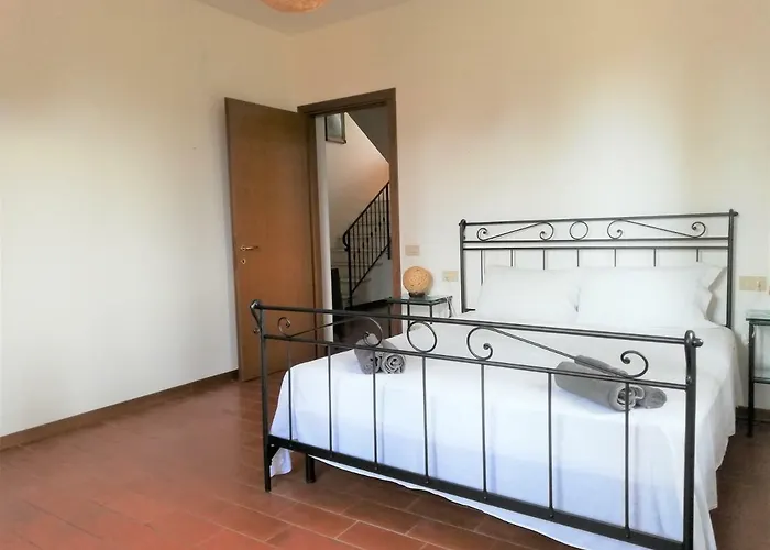 Lavanda * San Venanzo